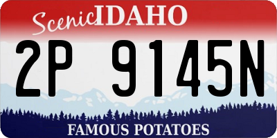 ID license plate 2P9145N