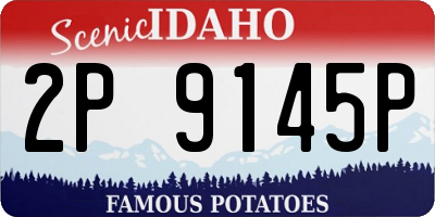 ID license plate 2P9145P