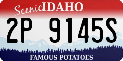 ID license plate 2P9145S