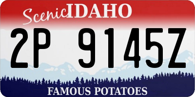 ID license plate 2P9145Z