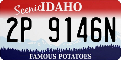 ID license plate 2P9146N