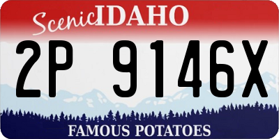 ID license plate 2P9146X