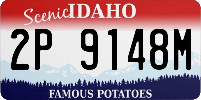 ID license plate 2P9148M
