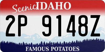 ID license plate 2P9148Z
