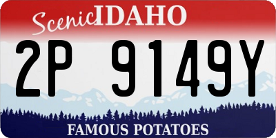 ID license plate 2P9149Y
