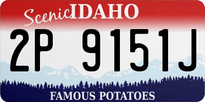 ID license plate 2P9151J