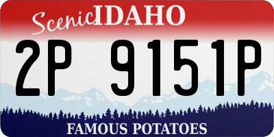 ID license plate 2P9151P