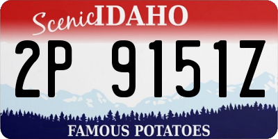 ID license plate 2P9151Z
