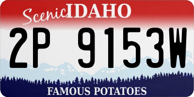 ID license plate 2P9153W