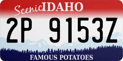 ID license plate 2P9153Z