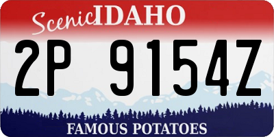 ID license plate 2P9154Z