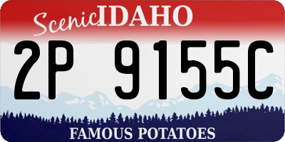ID license plate 2P9155C