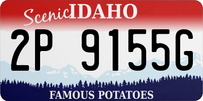 ID license plate 2P9155G