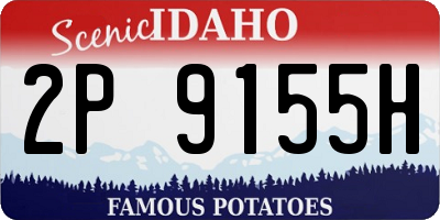 ID license plate 2P9155H