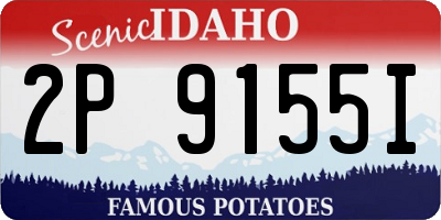 ID license plate 2P9155I