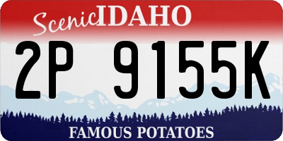 ID license plate 2P9155K