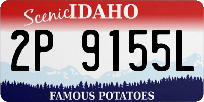 ID license plate 2P9155L
