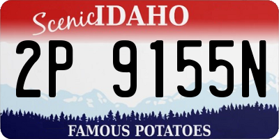 ID license plate 2P9155N