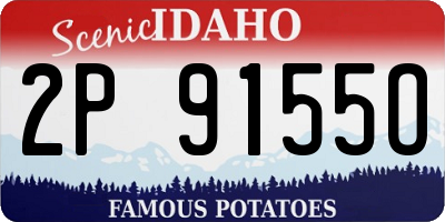 ID license plate 2P9155O