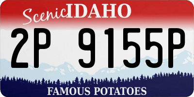ID license plate 2P9155P