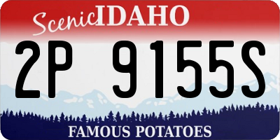 ID license plate 2P9155S