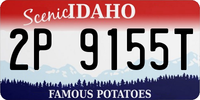 ID license plate 2P9155T