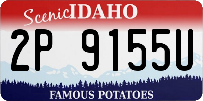ID license plate 2P9155U