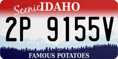 ID license plate 2P9155V