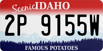 ID license plate 2P9155W