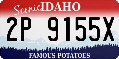 ID license plate 2P9155X