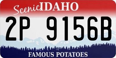 ID license plate 2P9156B