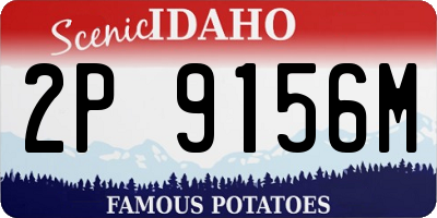 ID license plate 2P9156M
