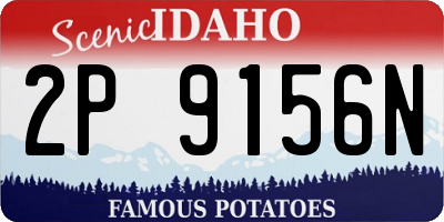 ID license plate 2P9156N