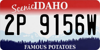 ID license plate 2P9156W