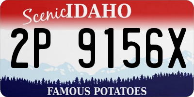 ID license plate 2P9156X