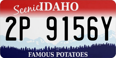 ID license plate 2P9156Y