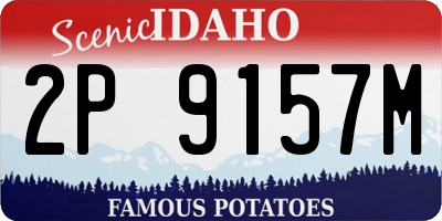 ID license plate 2P9157M