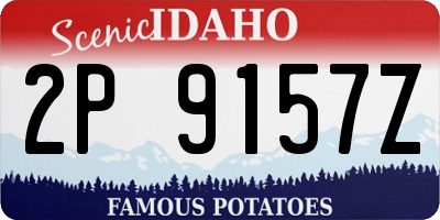 ID license plate 2P9157Z