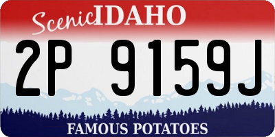 ID license plate 2P9159J