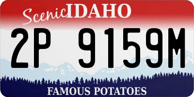ID license plate 2P9159M
