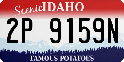 ID license plate 2P9159N