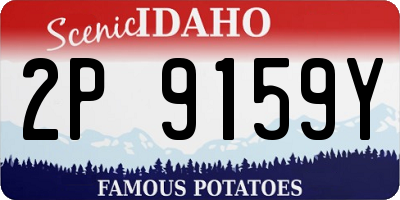 ID license plate 2P9159Y