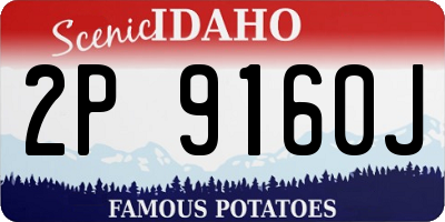 ID license plate 2P9160J