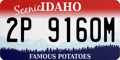 ID license plate 2P9160M