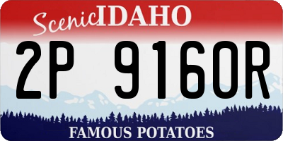 ID license plate 2P9160R