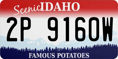 ID license plate 2P9160W