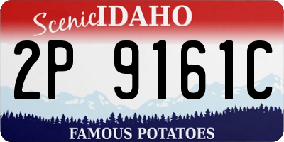 ID license plate 2P9161C