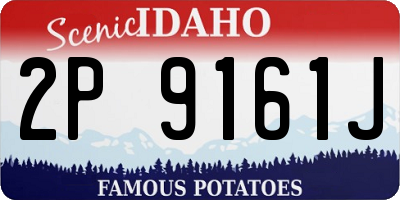 ID license plate 2P9161J
