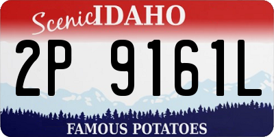 ID license plate 2P9161L