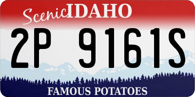 ID license plate 2P9161S